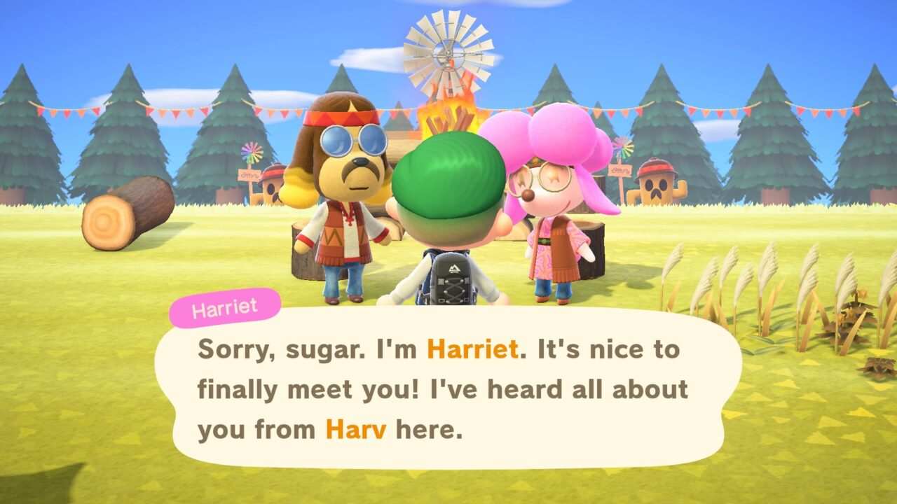 Animal Crossing Happy Home Paradise Nintendo Switch Code