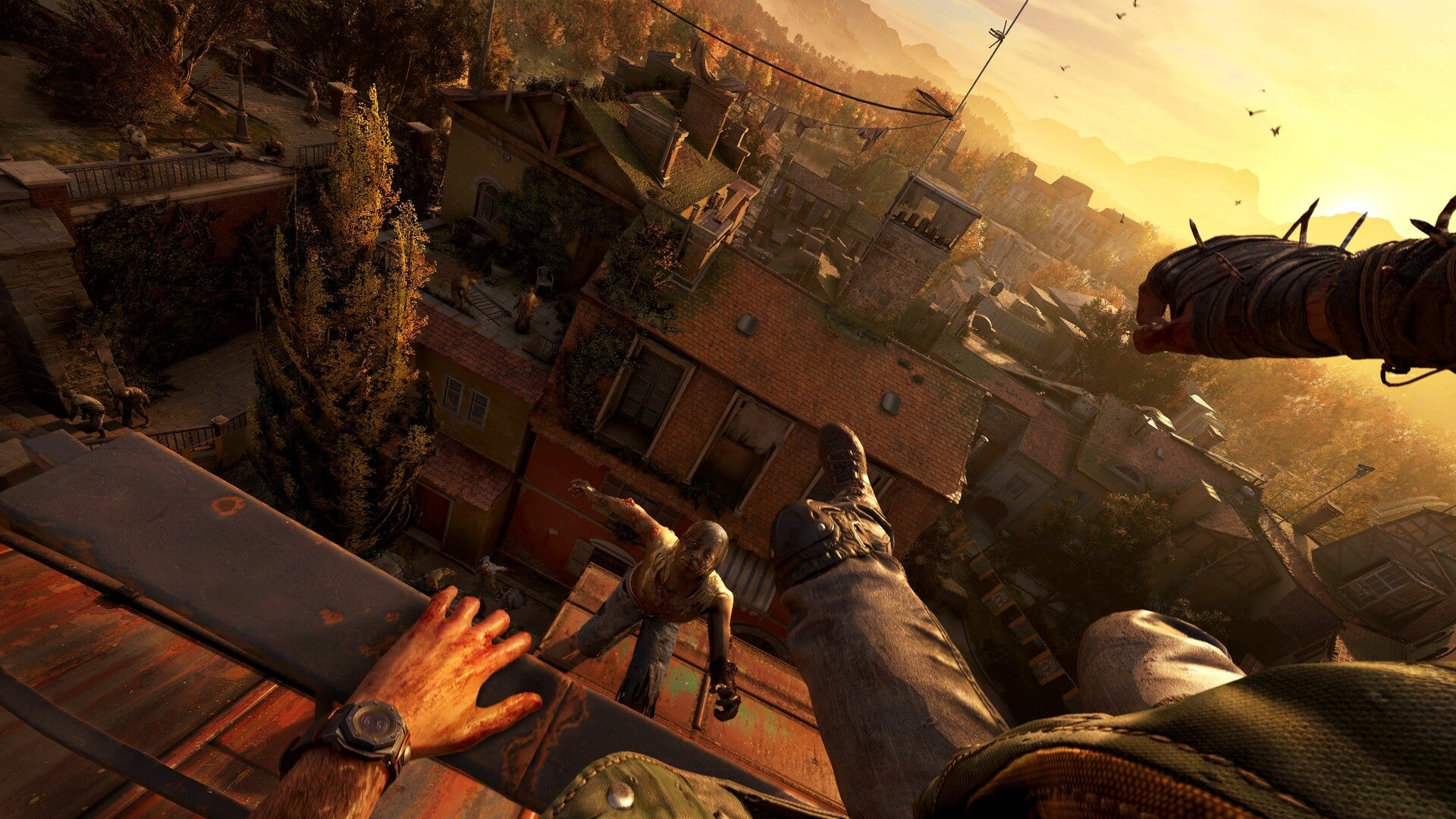Dying Light: The Beast (Xbox Series X|S Code)