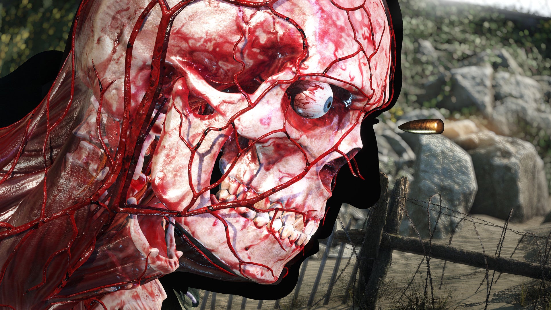 Sniper Elite 5 (Steam Code)
